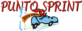logo punto sprint