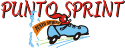 logo punto sprint