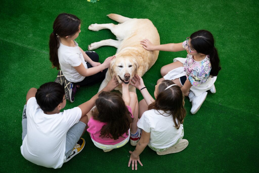 ZOOMUNITY DOG SHOW